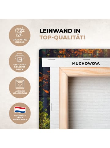 MuchoWow Leinwand bilder Waldpfad (BxH)