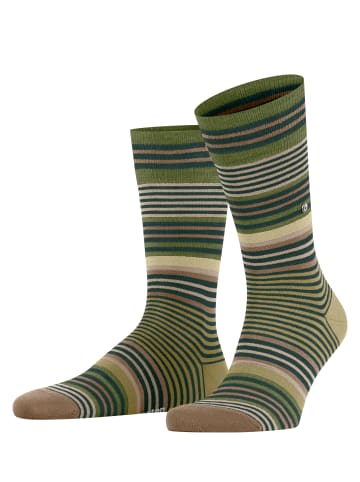 Burlington Socken Stripe in Forest