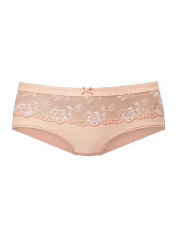 nuance Panty in apricot