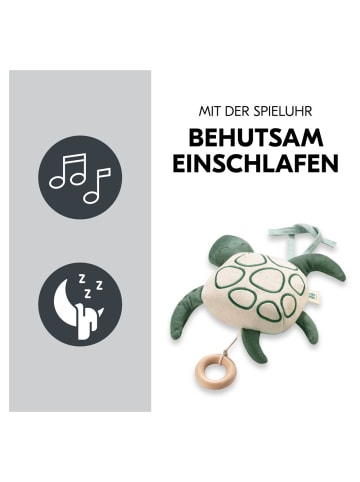 Hauck Spieluhr Cuddle N Sleep - Turtle in gruen