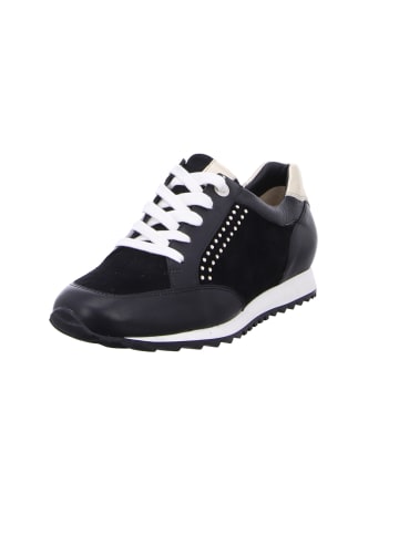 HASSIA Schnürschuh in schwarz