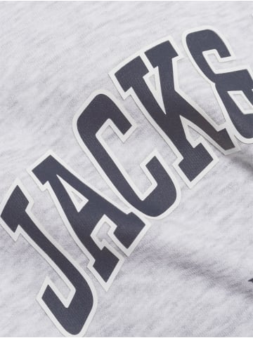 Jack & Jones Kapuzenpullover JJEcaleb in hellgrau - 0002