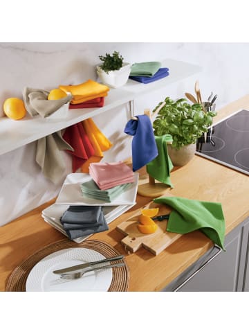 Erwin Müller Baumwolle Spültuch 6er-Pack in beige