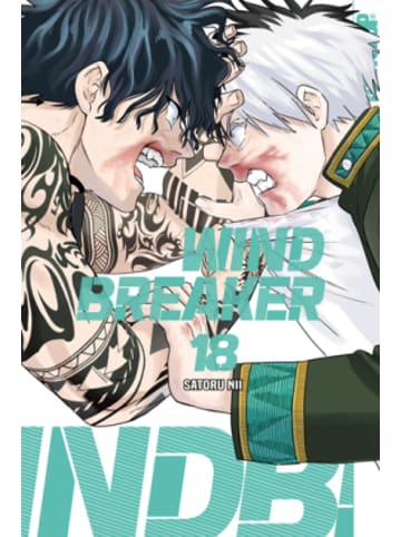 Tokyopop Buch - Wind Breaker 18