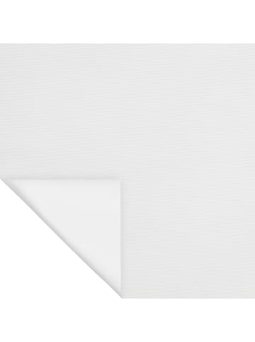 Lichtblick Seitenzugrollo in Weiß
