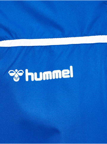 Hummel Reißverschluss Jacke Hmlauthentic Herren in TRUE BLUE