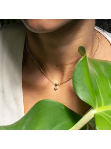 Lyomi 585/- Gold in gelb