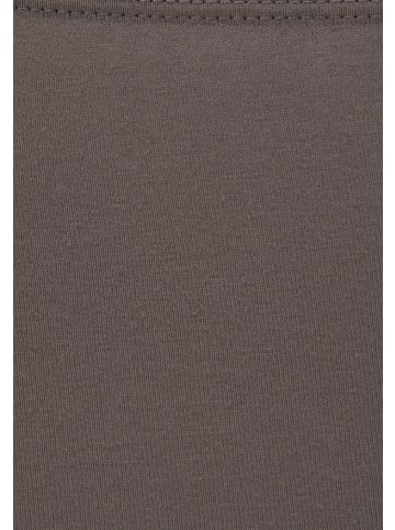 Vivance Panty in braun, weiß, grau, puder, schwarz, rosa