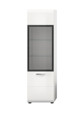 ebuy24 Vitrinenschrank Ice Weiß 45 x 34 cm