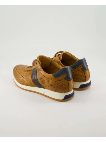 Galizio Torresi Sportliche Schnürschuhe in Braun