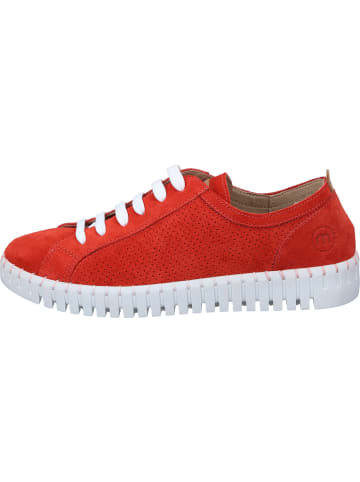 manitu Schnürschuhe in rot