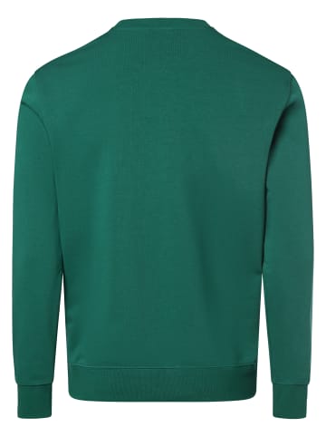 Champion Sweatshirt in grün