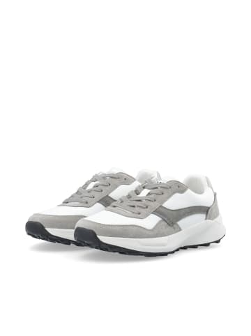 Bianco Sneakers in Grey