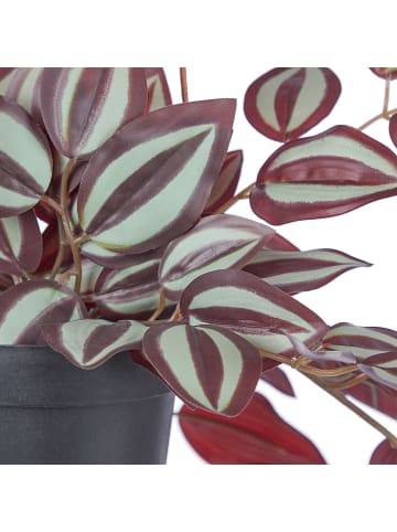 Butlers Kunstpflanze FLORISTA Zebrakraut in Grün