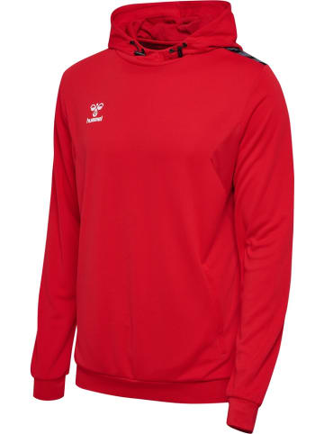 Hummel Hoodie "Hmlauthentic Pl Hoodie" in Rot