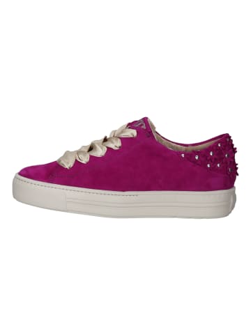 Paul Green Sneaker in Fuchsia