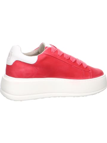 Tamaris Sportschuhe in pink