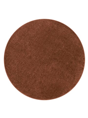 KADIMA DESIGN Waschbarer Teppich waschmaschinenwaschbar Unifarben Küche, Flur in Braun