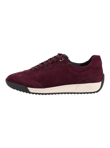 ara Sneaker STOCKHOLM in Dunkelrot