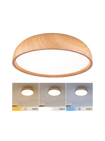 paulmann Selection Bathroom LED Deckenleuchte Oka