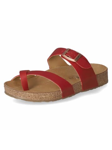 HAFLINGER Pantolette in rot