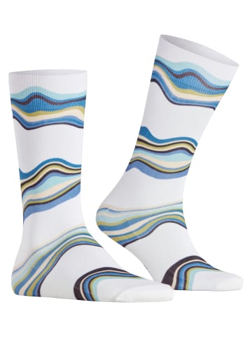Falke Malecon Socke in Woolwhite