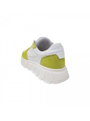 Apple of Eden Sneaker  in Grün
