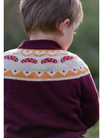 Little Green Radicals Organic Knitted Jumper in Brown