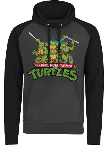 Teenage Mutant Ninja Turtles Hoodie in Grau