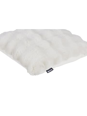 Cats Collection Kissenhülle Baloon in beige