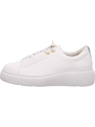 Paul Green Sneaker in weiß