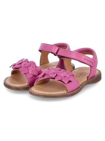 Froddo Sandalen LORE FLOWERS in Pink