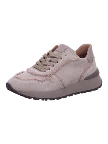 Gabor Damen- Schnürschuhe  in Beige
