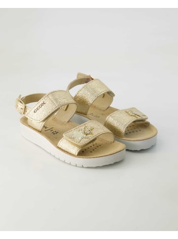 Geox Sandalen in Gold