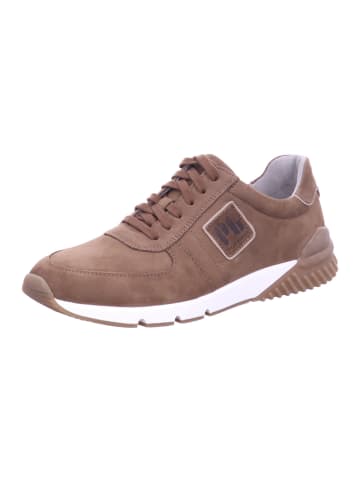 Pius Gabor Schnürschuhe  in Braun