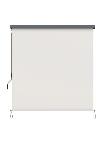 SONGMICS Seitenmarkise Sheld in Beige - (B)250 x (H)180 cm