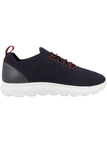 Geox Sneaker low U Spherica A in blau