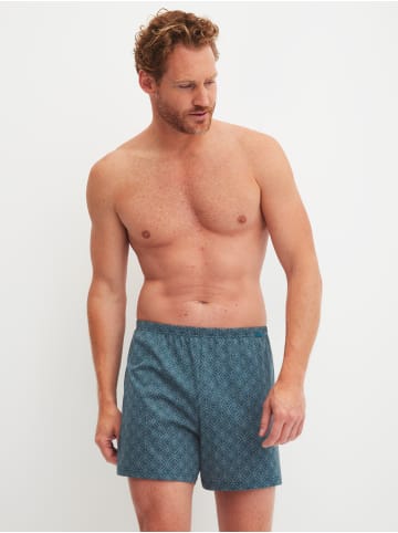Calida Boxershorts in blue print