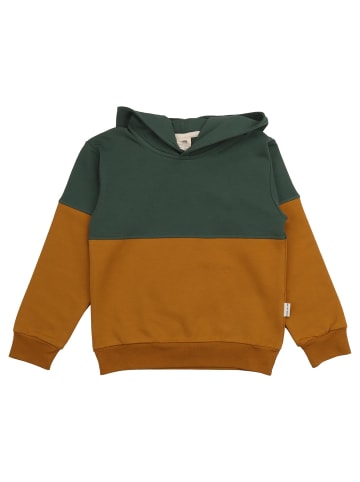 Walkiddy Hoodie Crazy Machines-Hoodie