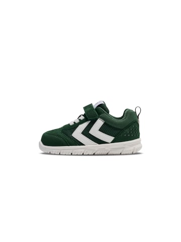Hummel Hummel Klettverschluss Sneaker Crosslite Infant Lebensstil Kinder in DARK GREEN