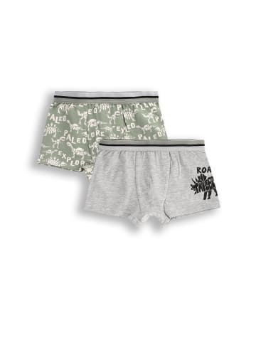 Coccodrillo Unterhose in bunt
