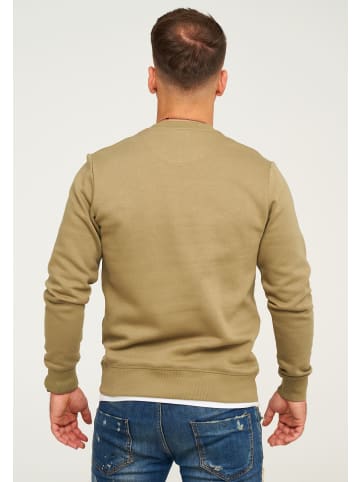 Jack & Jones Sweatshirt - POPS SWEAT CREW NECK Pullover in Aloe