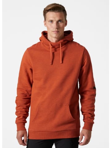 Helly Hansen Hoodie "Logo Hoodie" in Orange