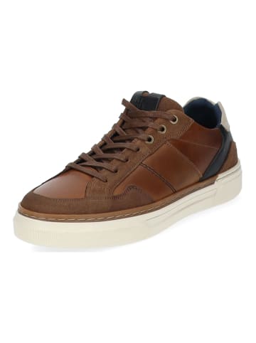 Bullboxer Sneaker in Cognac