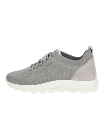 Geox Sneaker in Grau