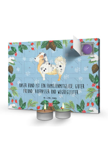 Mr. & Mrs. Panda Duftkerzen Adventskalender Hund Australien Shep... in Eisblau
