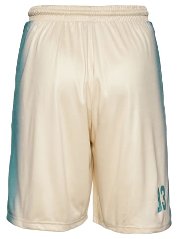 Ecko Unltd. Ecko Unltd. Mesh-Shorts in sand/green