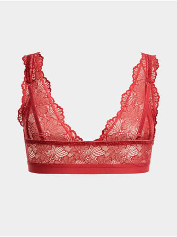 Erlich Textil  CLASSY LACE BRALETTE in granatapfel