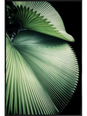Juniqe Poster in Kunststoffrahmen "Sharp Palm" in Grün