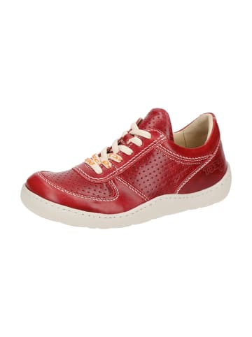Eject Komfort Schnürschuhe in Rot